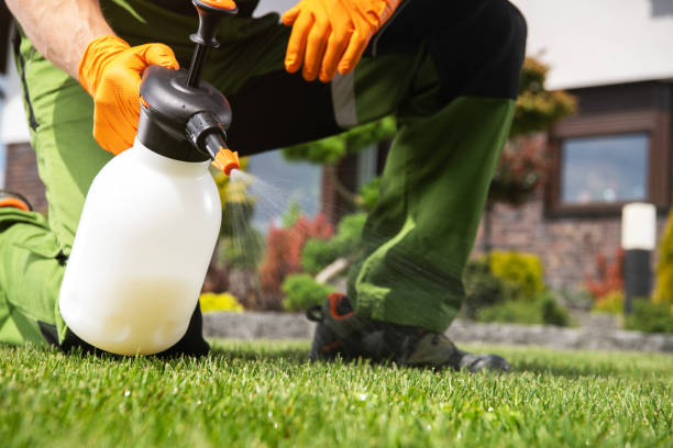 Best Termite Control Services  in Gillett, WI