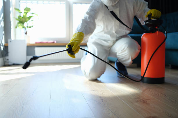 Best Flea Control Services  in Gillett, WI