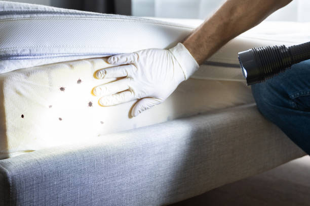 Gillett, WI Pest Control Company