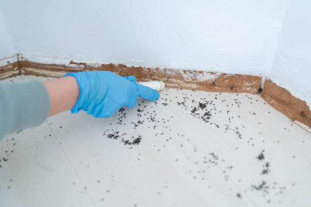 Best Residential Pest Control  in Gillett, WI